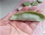 翡翠蒸饺的做法图解7