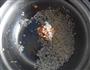 糯米珍珠丸子的做法步骤7