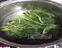 菠菜粉丝的做法图解4