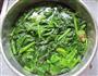 炖菠菜的做法图解2