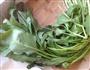 凉拌菠菜的做法图解1