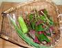 糊辣壳莴笋折耳根的做法图解1