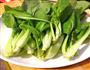 拌油菜的做法图解1