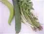 酱拌黄瓜的做法图解1
