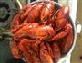 麻辣小龙虾的做法图解5
