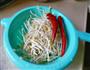 炝炒豆芽的做法图解1