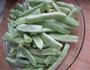 家常炖豆角的做法图解2