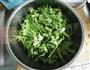 麻酱拌苦菊的做法图解4