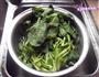 蛋皮菠菜的做法图解1