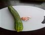开胃黄瓜的做法图解1