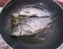 铁锅炖鱼贴饼子的做法图解11