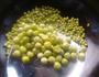 干煸豌豆的做法图解5