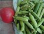 番茄炒青豆的做法图解1