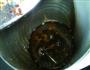 红绿黑豆浆的做法图解4