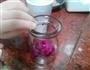 火龙果果冻的做法图解8