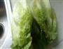 耗油生菜的做法图解1