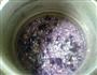 紫薯薏米仁大米粥的做法图解11