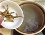 冬瓜老鸭汤的做法图解3