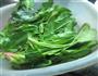 乳香菠菜的做法图解1