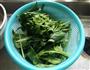 凉拌菠菜的做法图解3