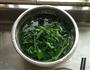 凉拌菠菜的做法图解4