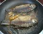 香辣鲫鱼的做法图解4