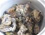 牡蛎豆腐的做法图解2