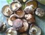 冬菇生肉包的做法图解1