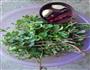 炝拌马齿苋的做法图解1