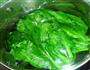 白灼芥蓝的做法图解5