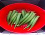 烤秋葵的做法图解1