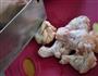 榴莲炖鸡养秋膘的做法图解2