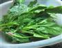 凉拌菠菜的做法图解1