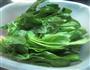 卤味菠菜的做法图解1