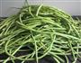 晒干豆角的做法图解1