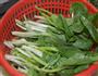 家常炒青菜的做法图解1