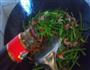 韭苔炒牛肉的做法图解11