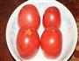 西红柿炒鸡蛋的做法步骤1
