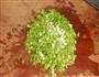 苋菜包子的做法图解5