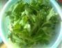 凉拌芹菜叶的做法图解1