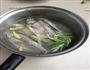 萝卜丝鲫鱼汤的做法图解7