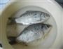 豆瓣酱烧鲫鱼的做法图解1