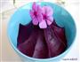 紫薯玫瑰馅的做法图解10