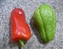 红椒炒佛手瓜的做法图解1