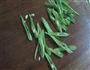 四季豆的做法图解2
