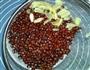 百合杏仁赤豆粥的做法图解2