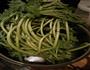 清炒茼蒿杆的做法图解1