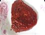 黑椒牛排的做法图解1