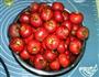 挂霜山楂的做法图解7