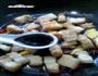 竹笋红烧五花肉的做法图解12